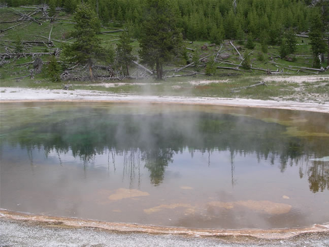 images/C-Beauty Pool (1).jpg